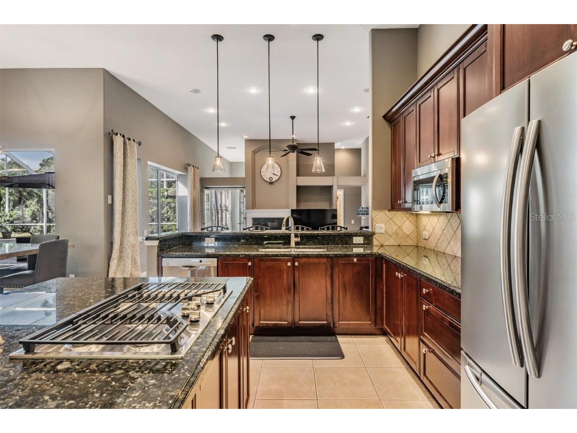 3727 Janus Way Palm Harbor FL 34685 TB8385235 image19