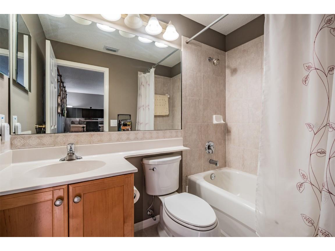 3727 Janus Way Palm Harbor FL 34685 TB8385235 image41