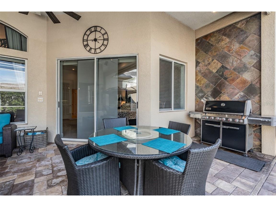 3727 Janus Way Palm Harbor FL 34685 TB8385235 image44