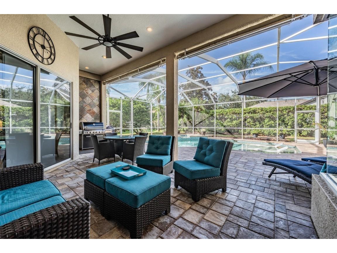 3727 Janus Way Palm Harbor FL 34685 TB8385235 image46