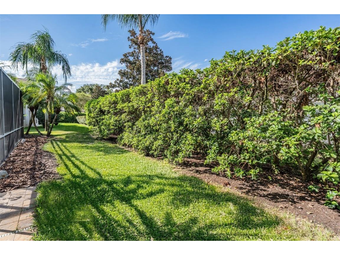 3727 Janus Way Palm Harbor FL 34685 TB8385235 image50