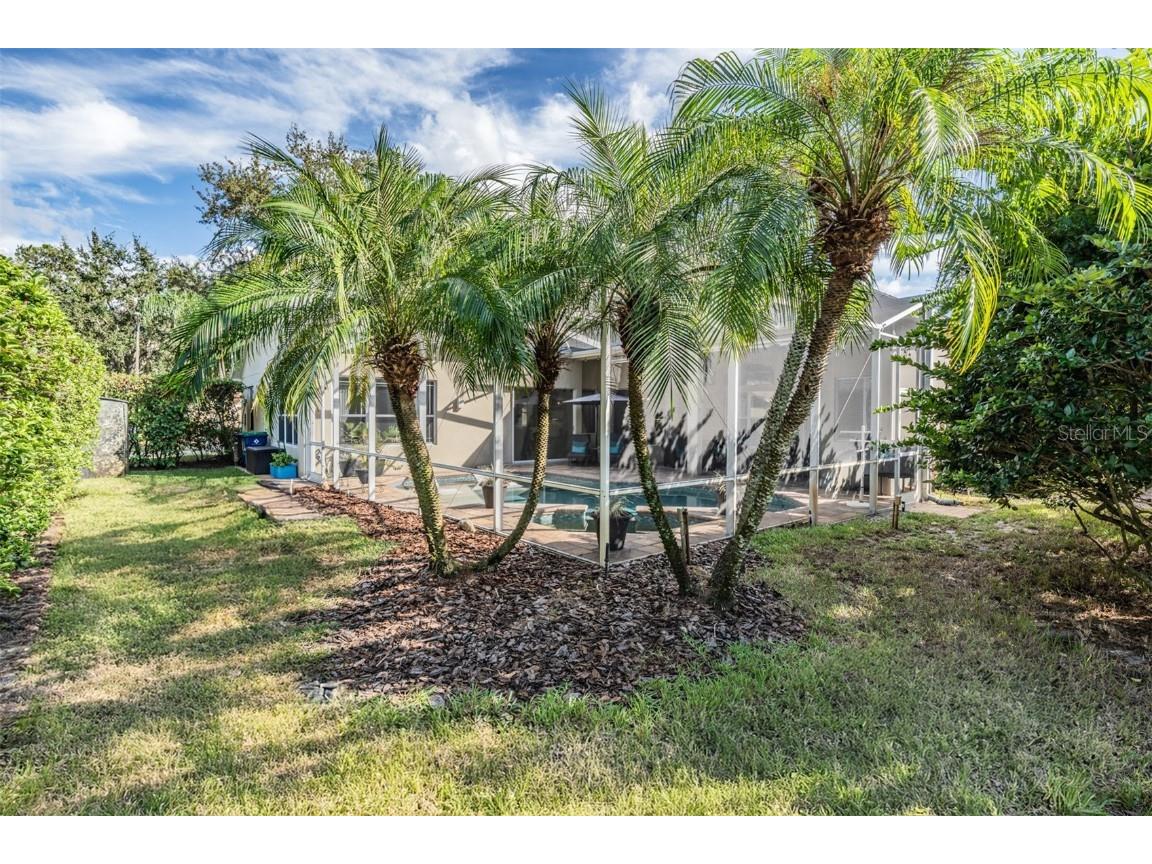 3727 Janus Way Palm Harbor FL 34685 TB8385235 image51