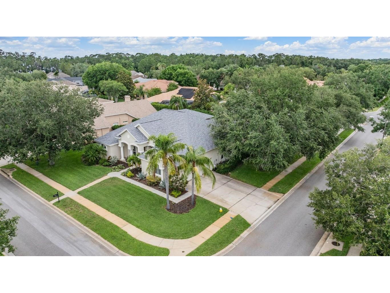 3727 Janus Way Palm Harbor FL 34685 TB8385235 image59