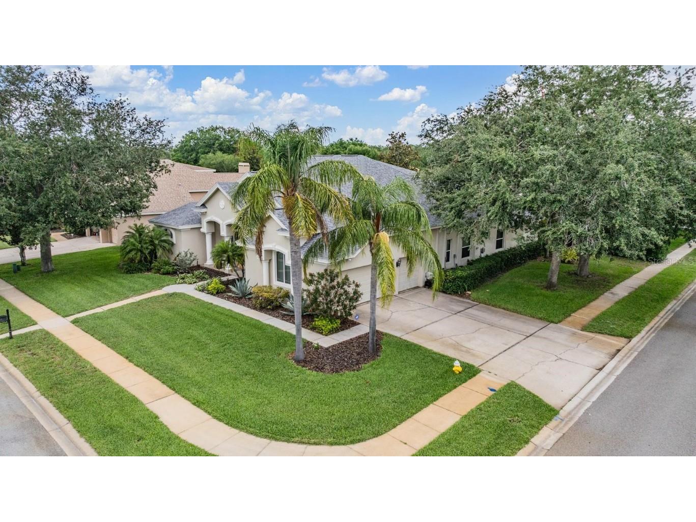 3727 Janus Way Palm Harbor FL 34685 TB8385235 image60