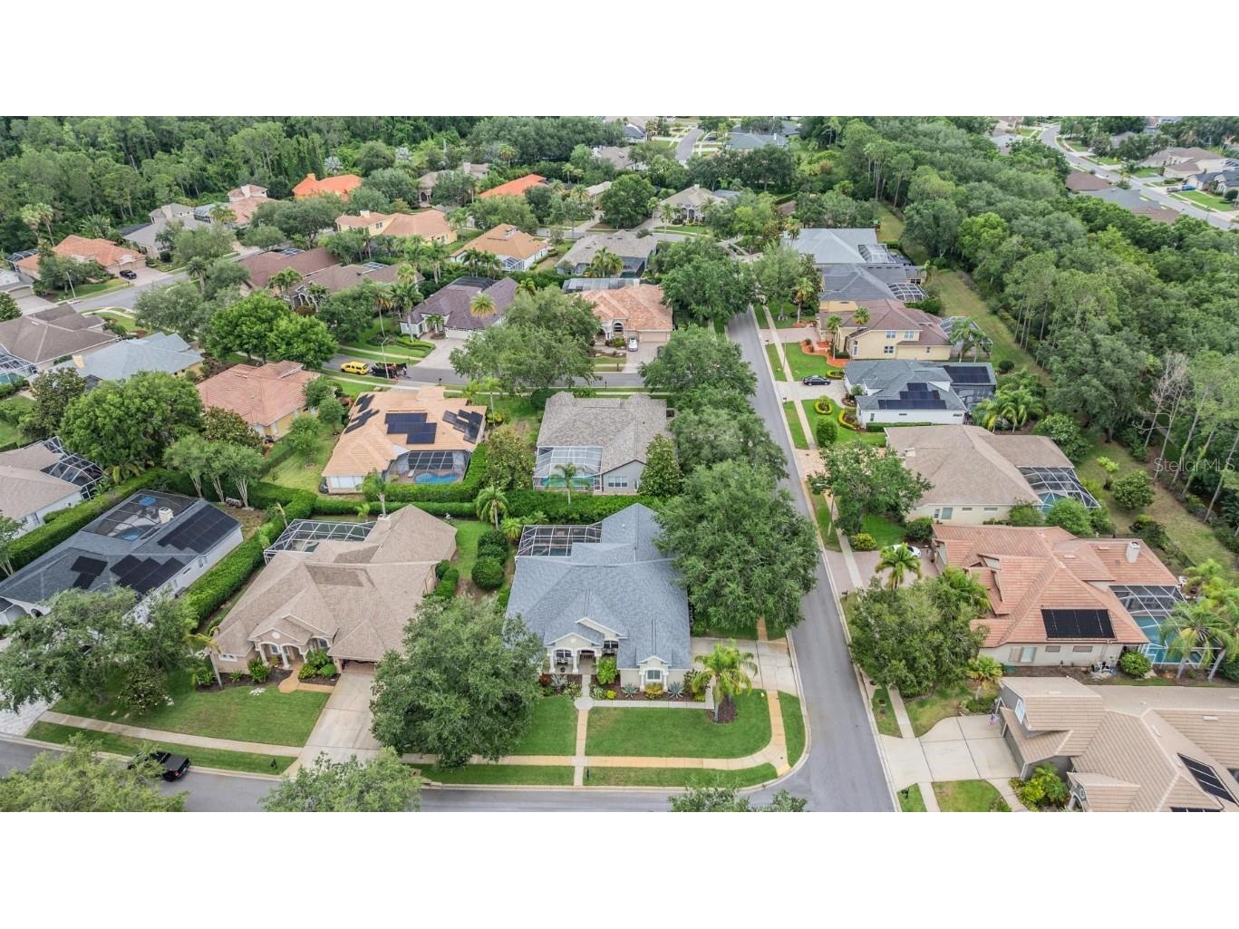 3727 Janus Way Palm Harbor FL 34685 TB8385235 image61