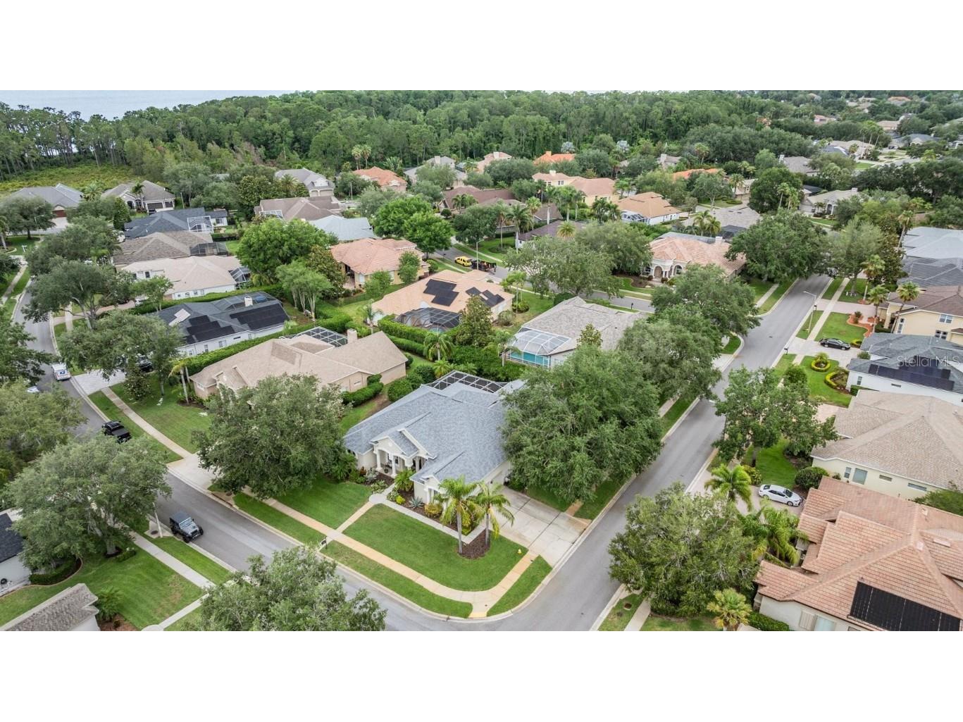 3727 Janus Way Palm Harbor FL 34685 TB8385235 image62