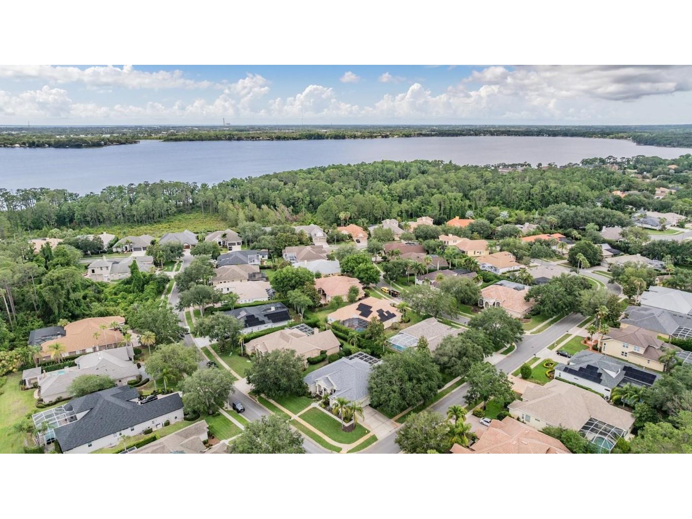 3727 Janus Way Palm Harbor FL 34685 TB8385235 image63