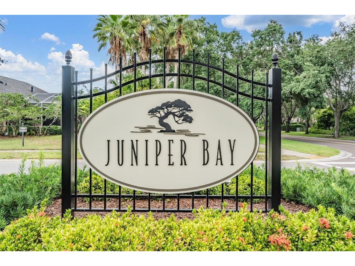 3727 Janus Way Palm Harbor FL 34685 TB8385235 image65