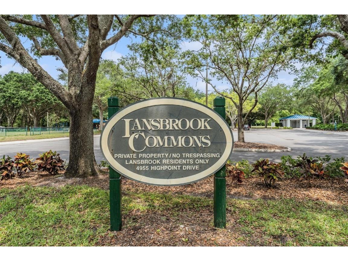 3727 Janus Way Palm Harbor FL 34685 TB8385235 image66