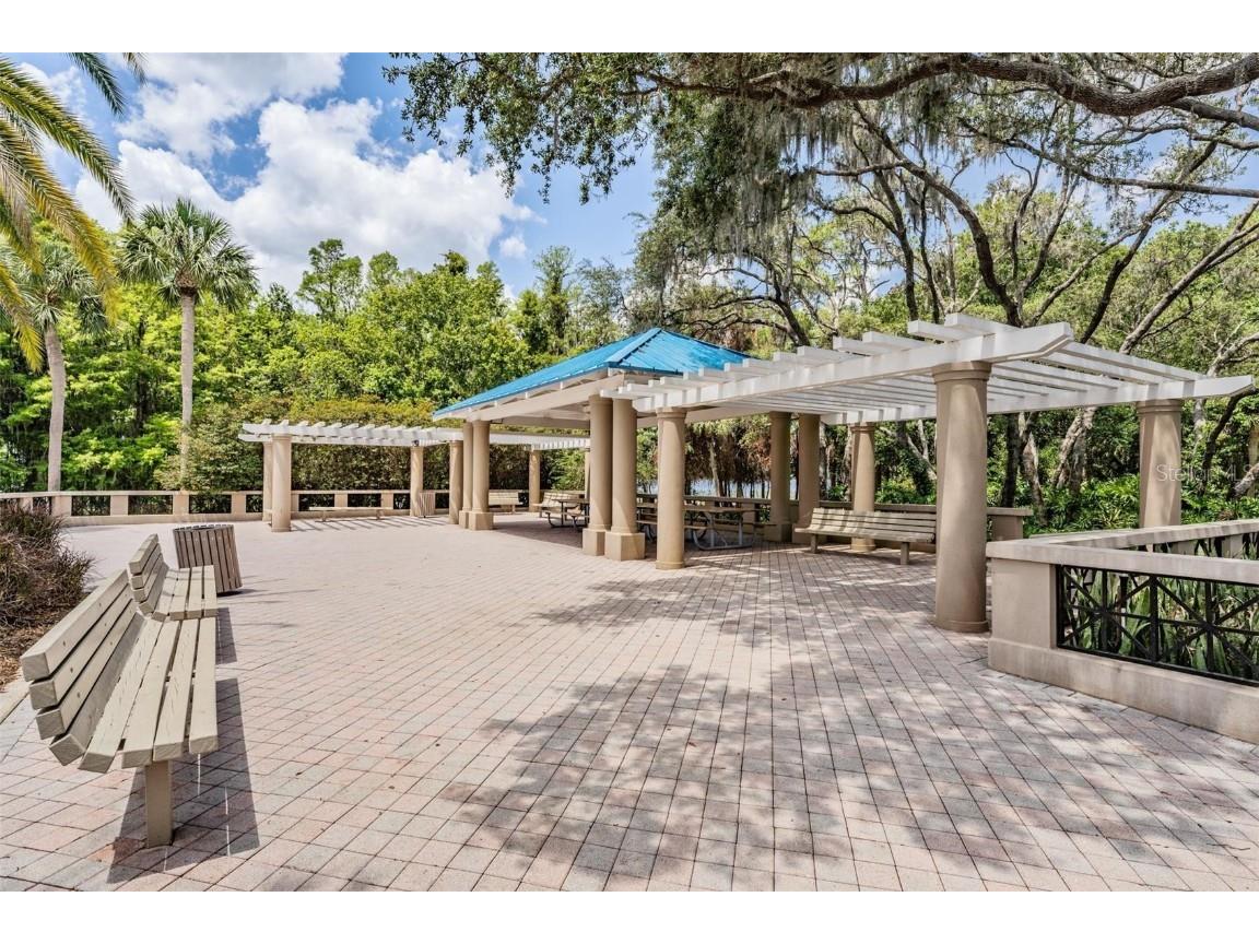 3727 Janus Way Palm Harbor FL 34685 TB8385235 image67