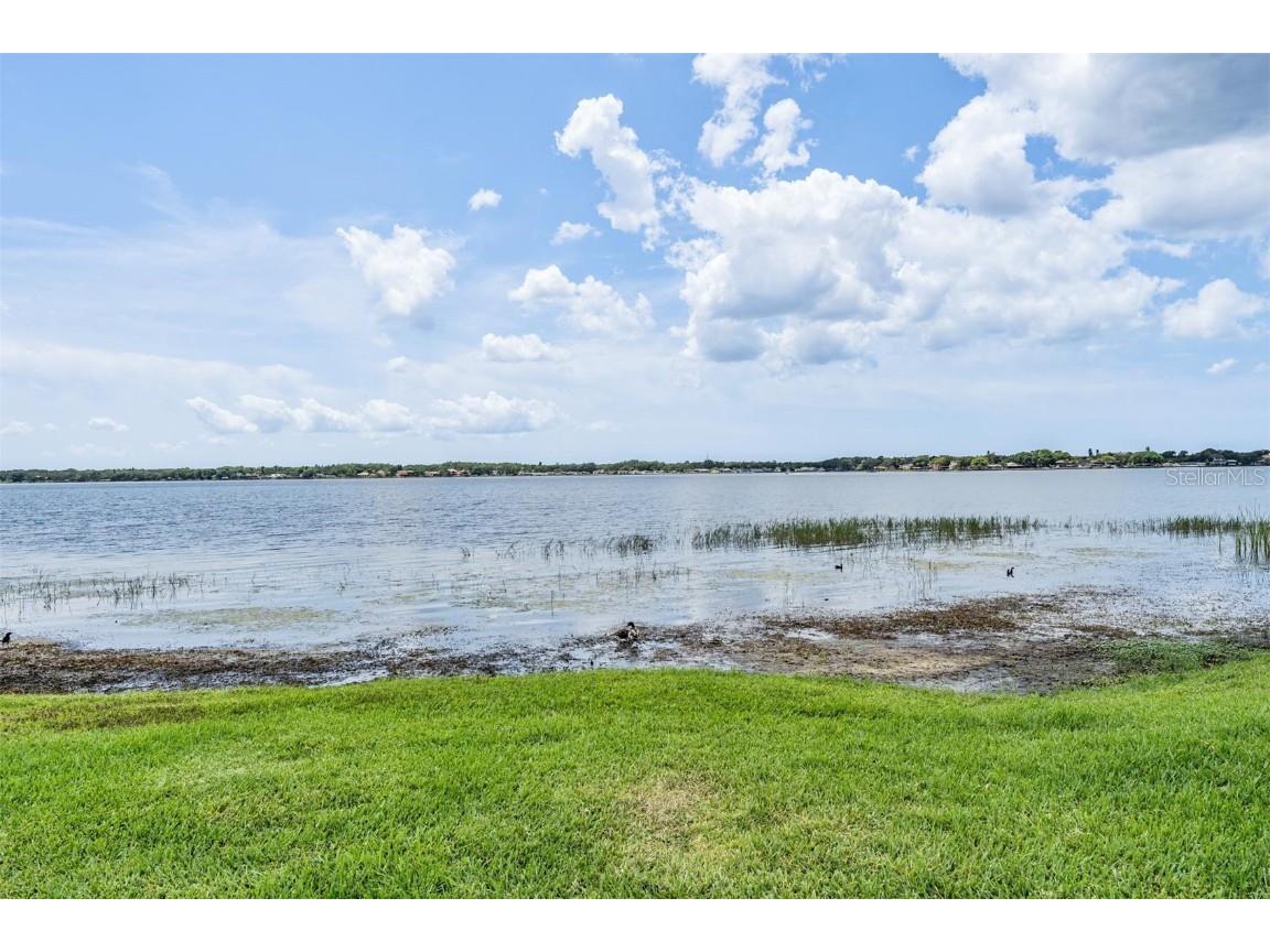 3727 Janus Way Palm Harbor FL 34685 TB8385235 image68