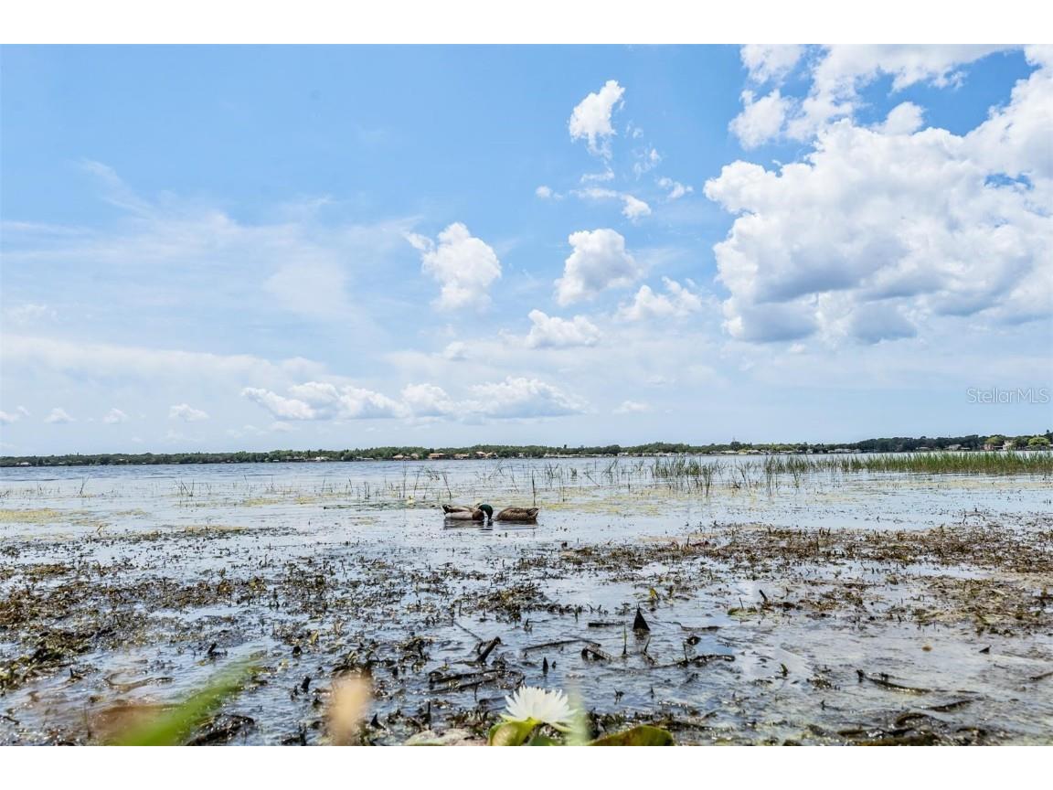 3727 Janus Way Palm Harbor FL 34685 TB8385235 image69