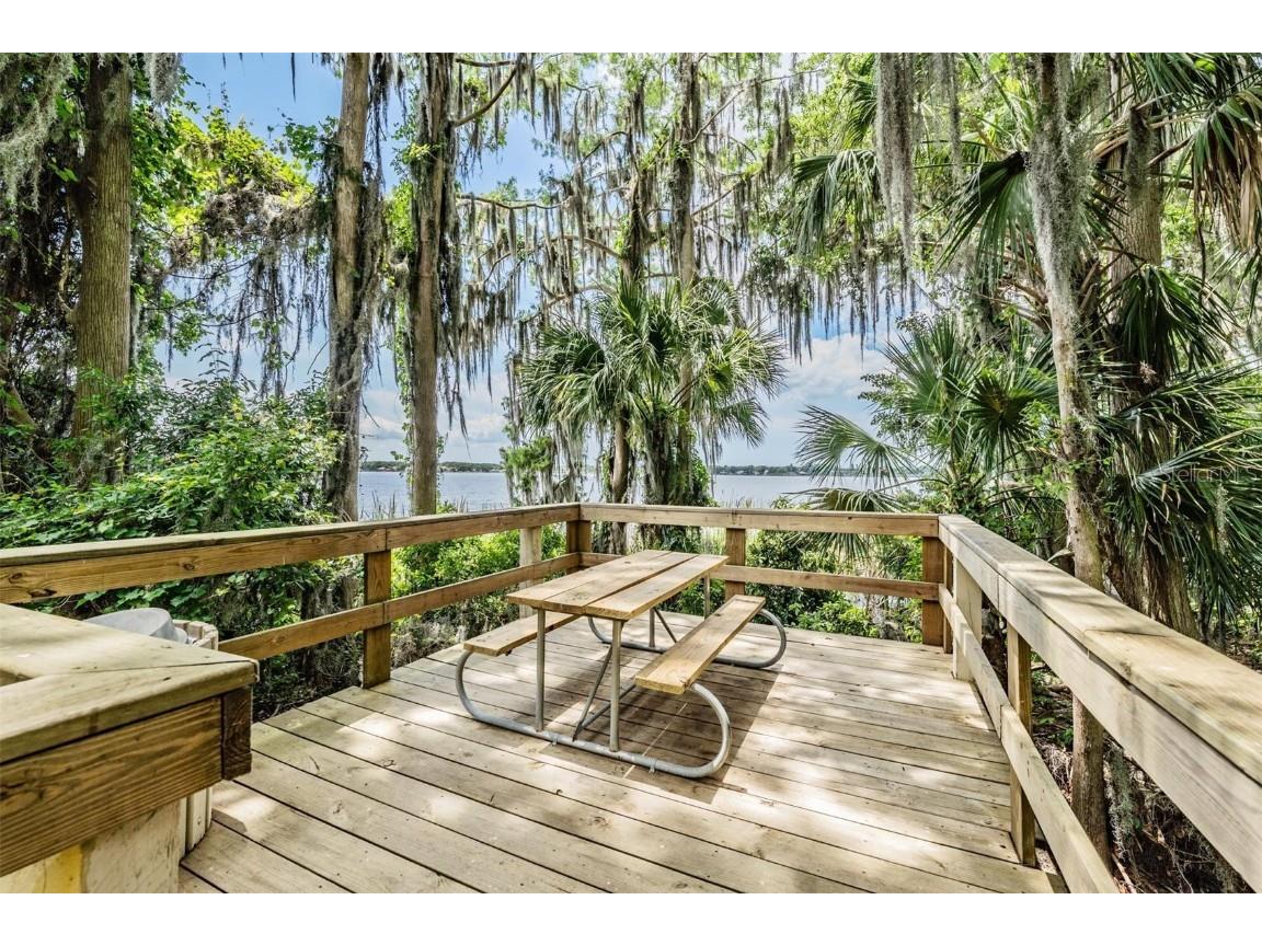 3727 Janus Way Palm Harbor FL 34685 TB8385235 image70