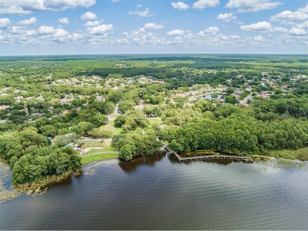 3727 Janus Way Palm Harbor FL 34685 TB8385235 image76