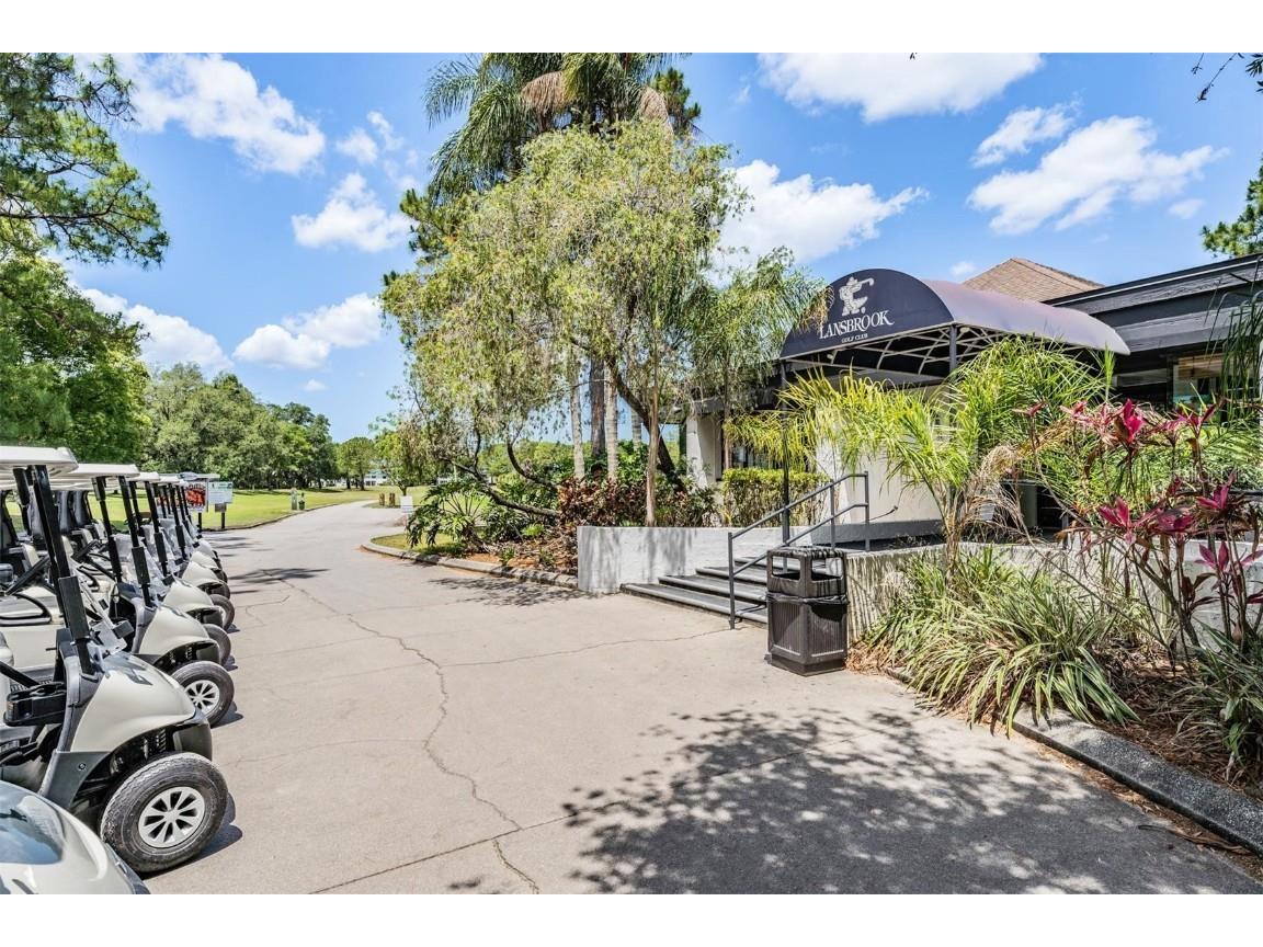 3727 Janus Way Palm Harbor FL 34685 TB8385235 image86