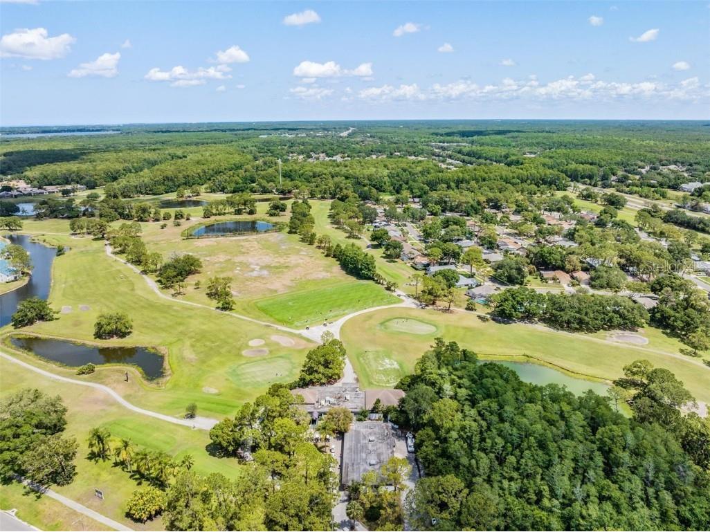 3727 Janus Way Palm Harbor FL 34685 TB8385235 image91