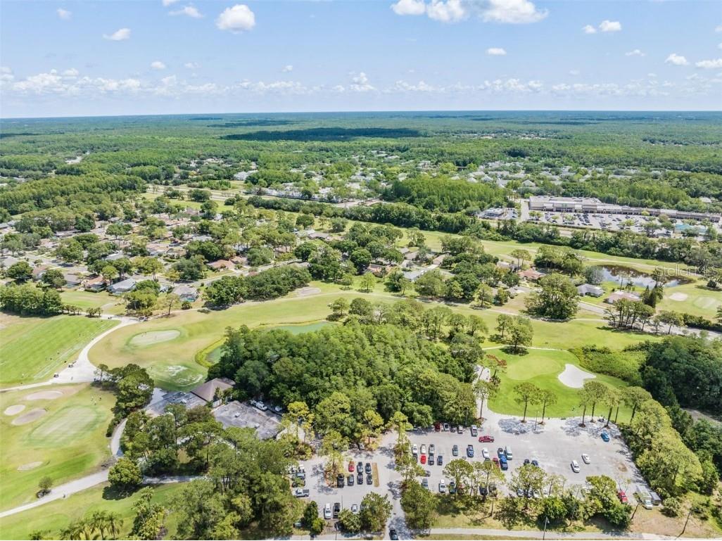 3727 Janus Way Palm Harbor FL 34685 TB8385235 image92