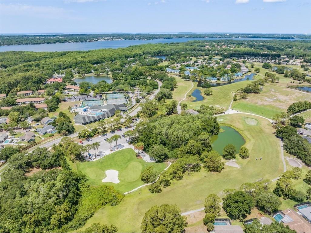 3727 Janus Way Palm Harbor FL 34685 TB8385235 image94