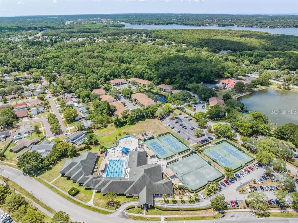 3727 Janus Way Palm Harbor FL 34685 TB8385235 image97