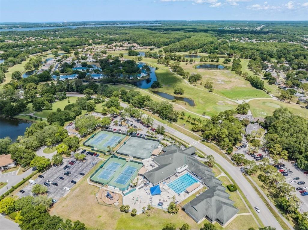 3727 Janus Way Palm Harbor FL 34685 TB8385235 image98