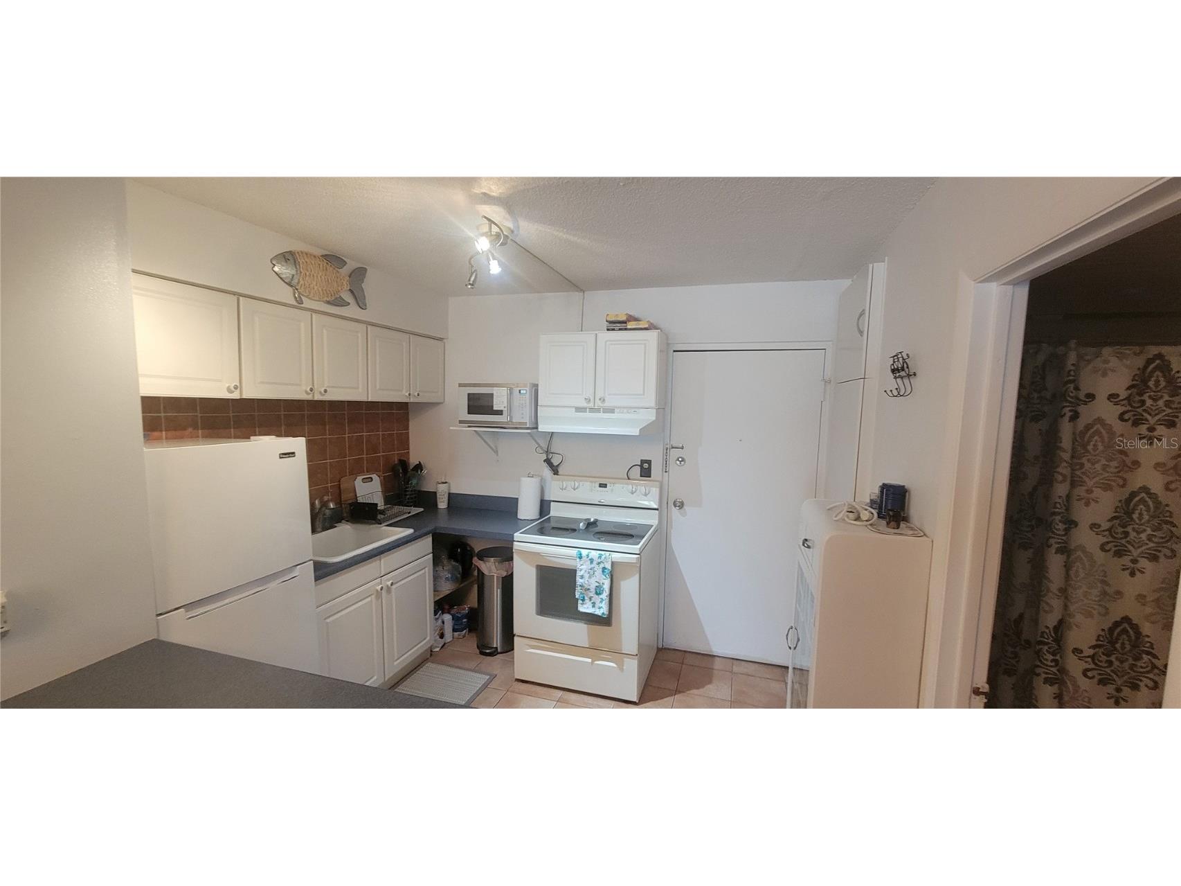3727 S Atlantic Ave #UNIT 217 Daytona Beach Shores FL 32118 V4944098 image3