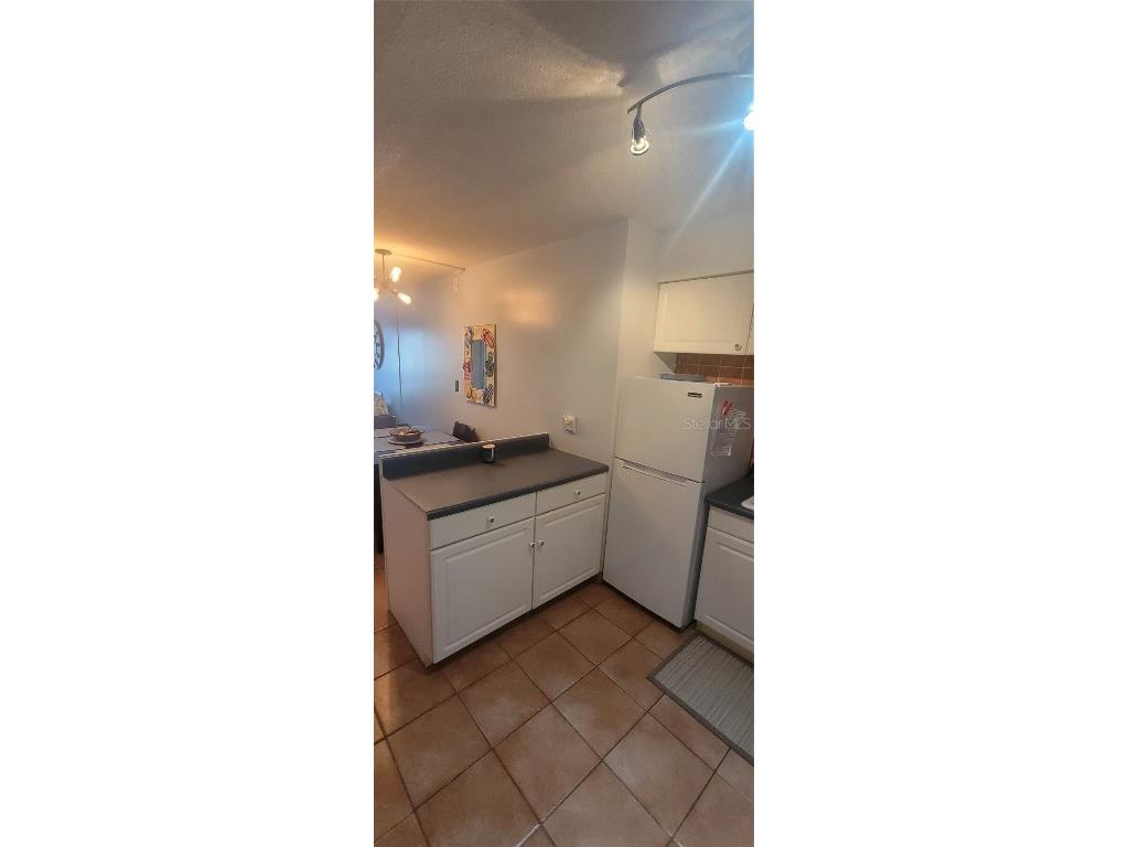 3727 S Atlantic Ave #UNIT 217 Daytona Beach Shores FL 32118 V4944098 image6