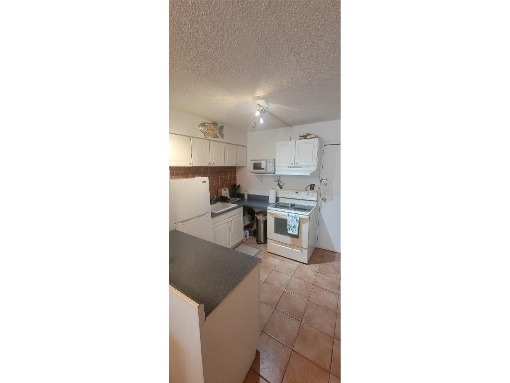 3727 S Atlantic Ave #UNIT 217 Daytona Beach Shores FL 32118 V4944098 image8