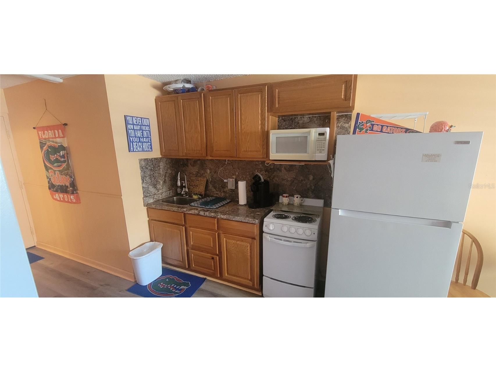 3727 S Atlantic Ave #UNIT 424 Daytona Beach Shores FL 32118 V4944099 image5