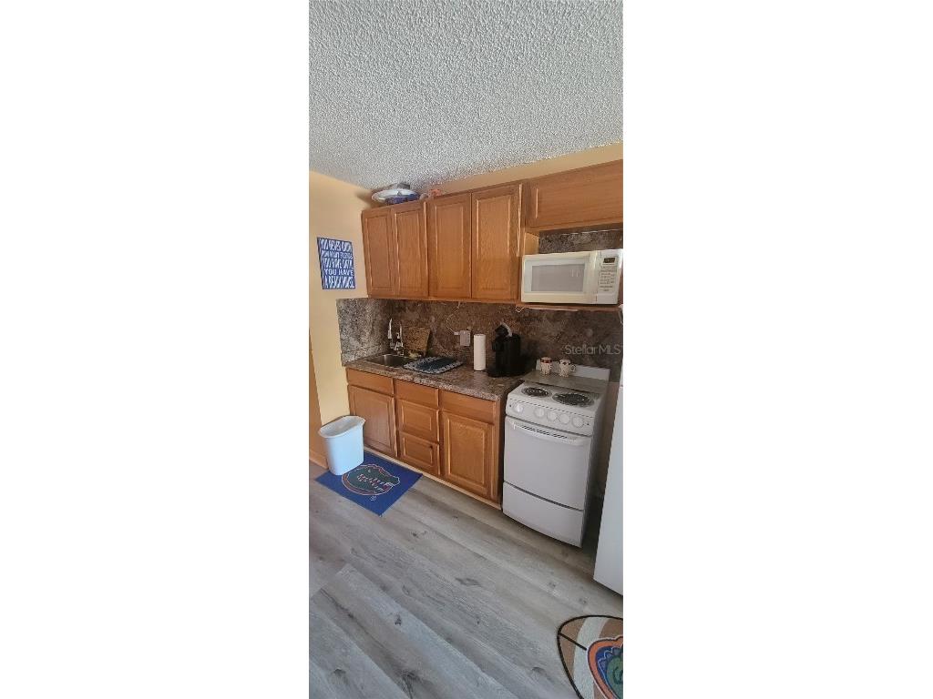3727 S Atlantic Ave #UNIT 424 Daytona Beach Shores FL 32118 V4944099 image6