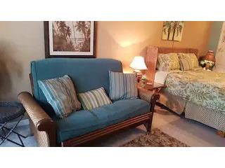 3727 S Atlantic Avenue #3150 Daytona Beach FL 32118 V4944422 image12