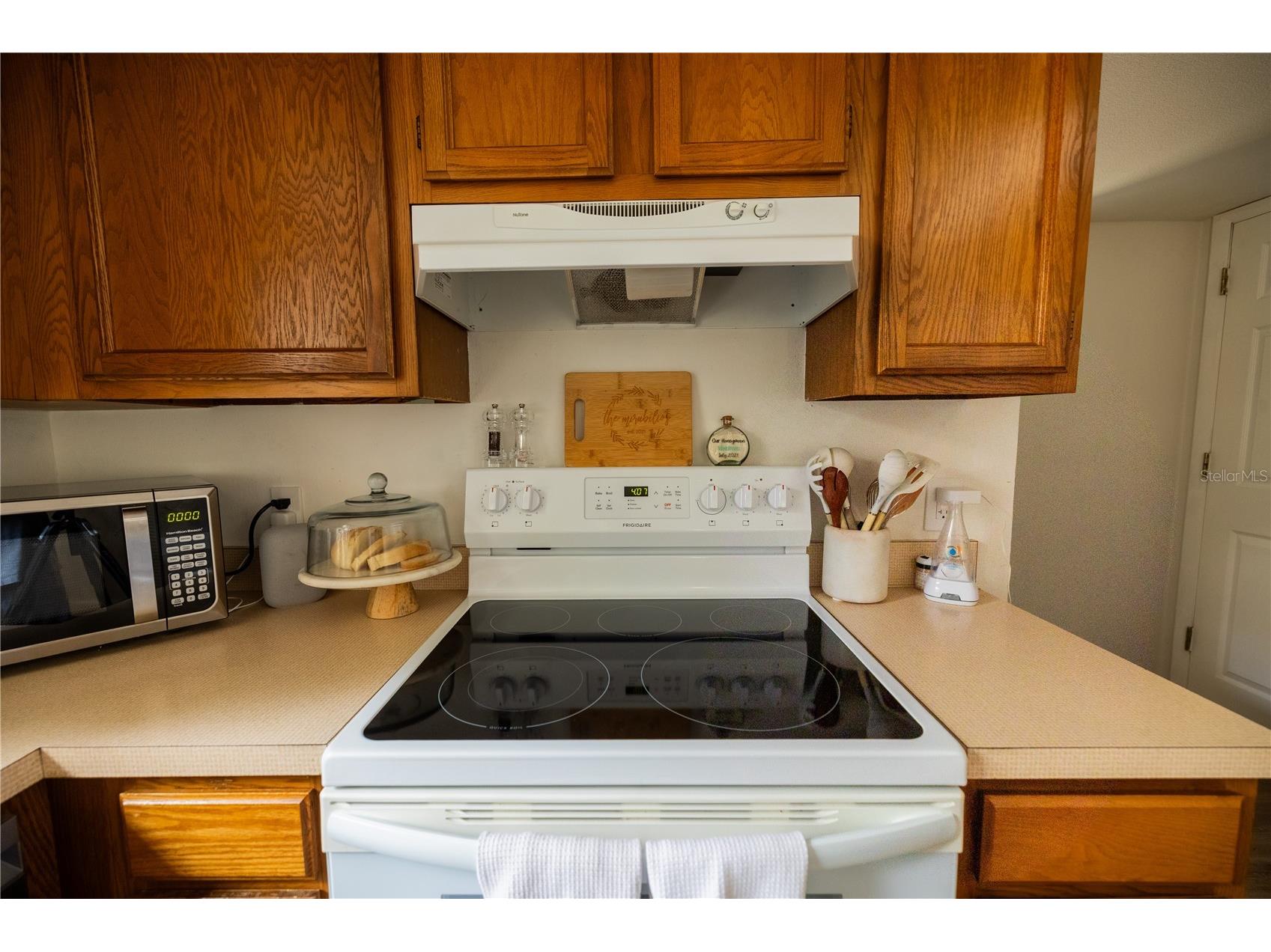 3728 Murray Dale Drive Valrico FL 33596 TB8480092 image18