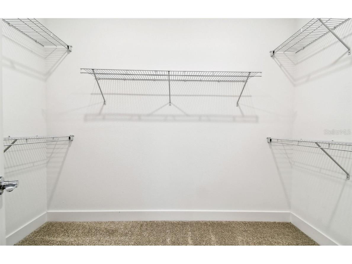 37290 Clinch Circle Zephyrhills FL 33540 TB8457703 image17