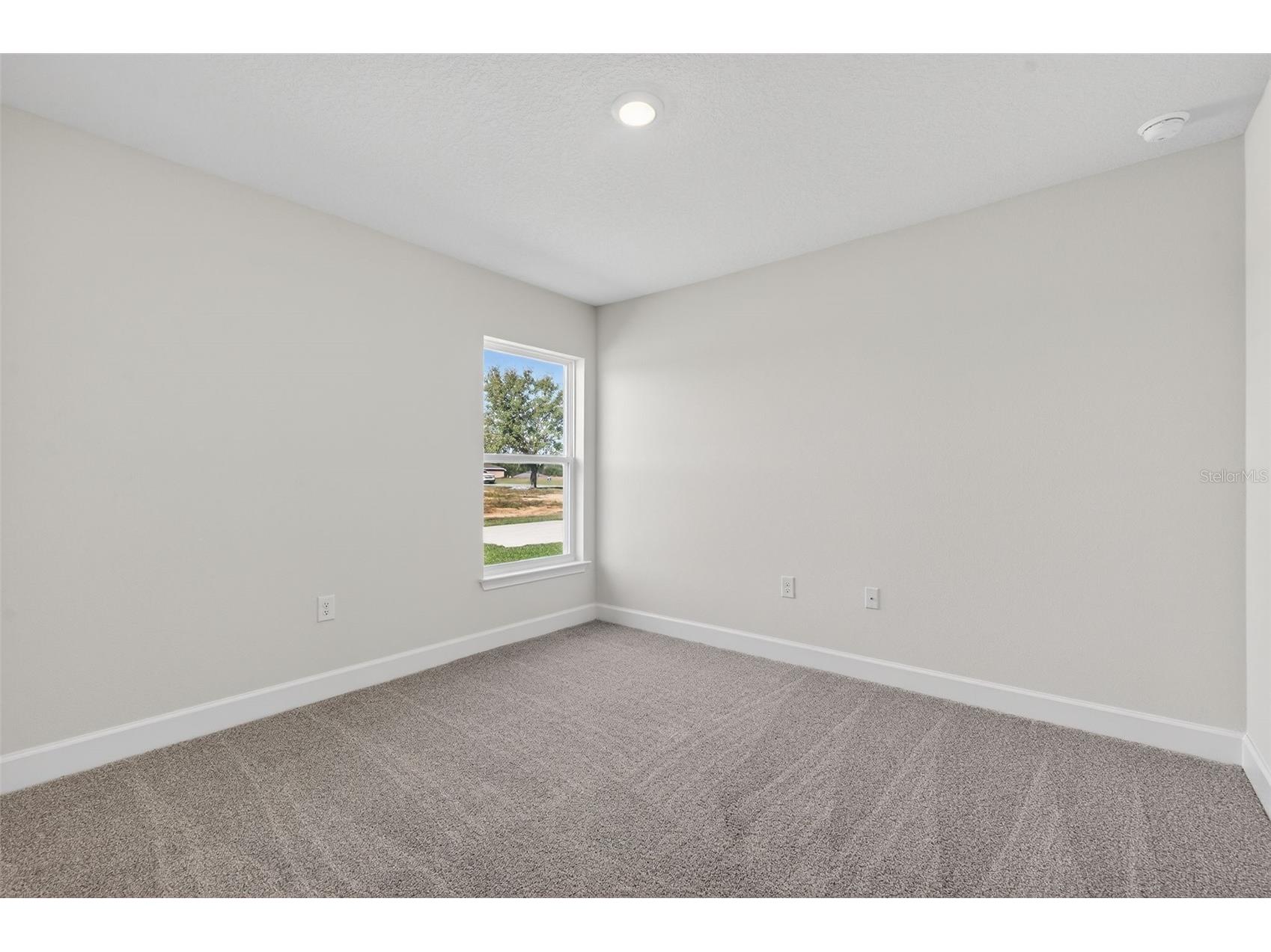 37298 Hidden View Circle Dade City FL 33523 TB8456386 image37