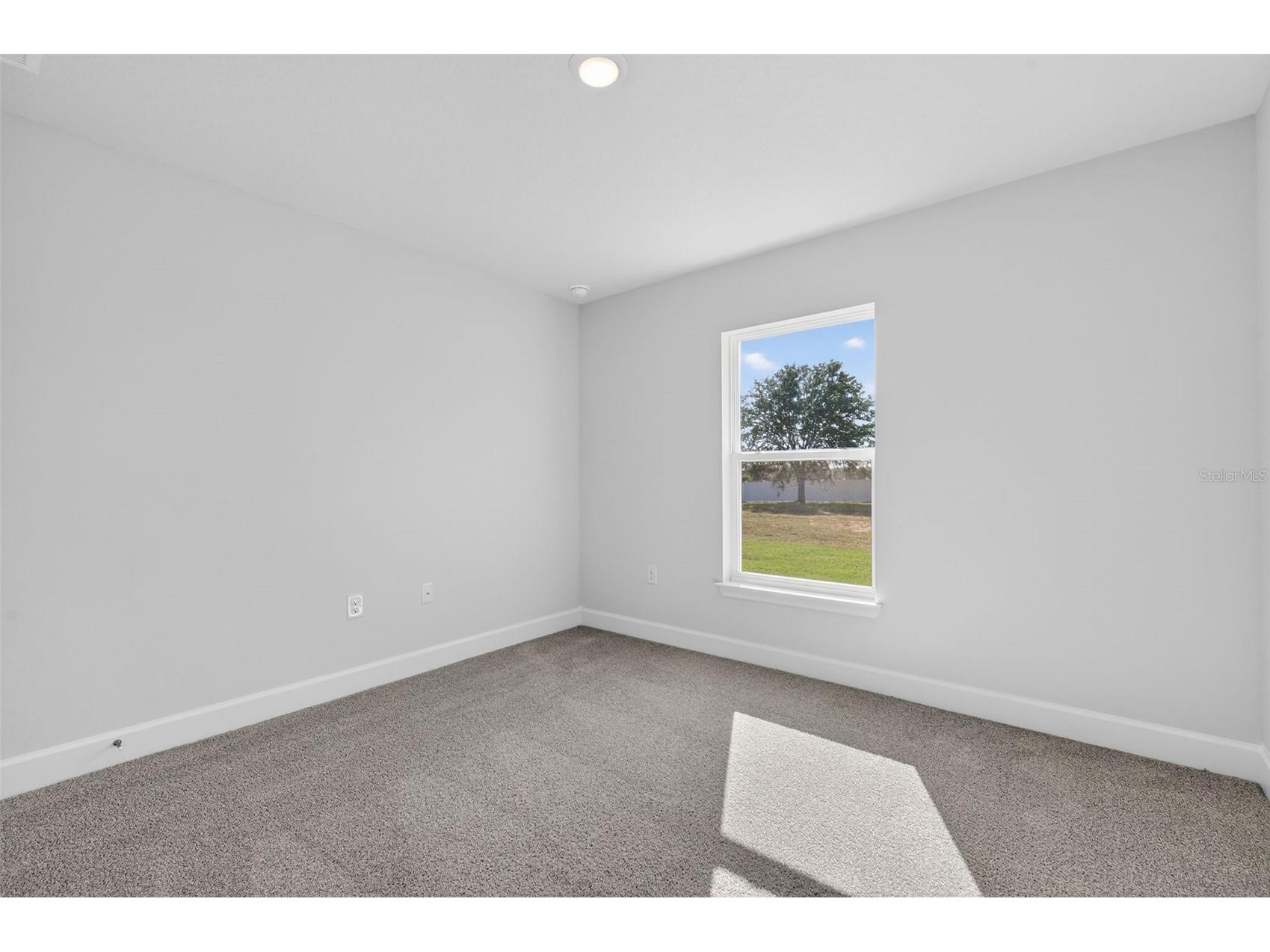 37298 Hidden View Circle Dade City FL 33523 TB8456386 image43