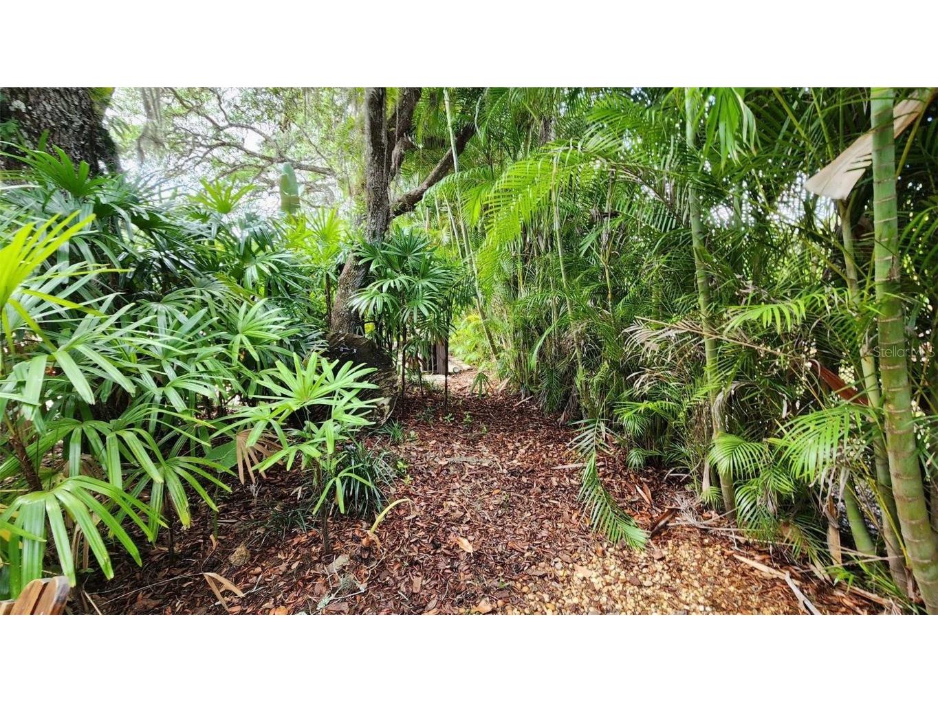 373 Bear Trail River Ranch FL 33867 TB8443095 image7