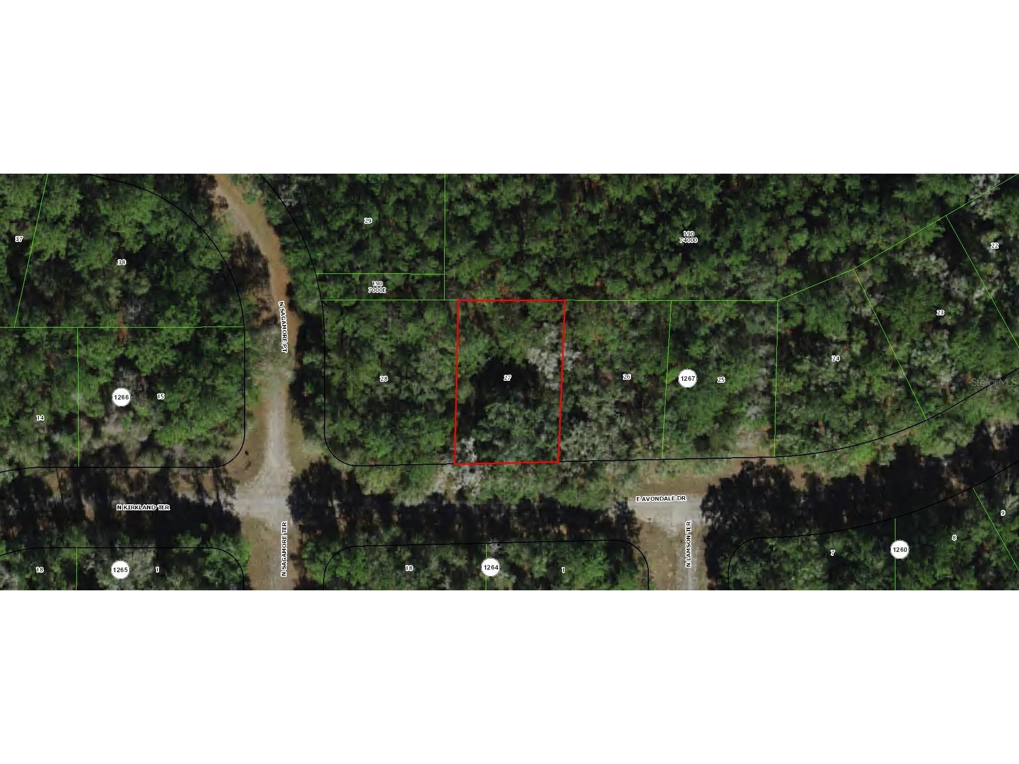 373 E Avondale Drive Dunnellon FL 34434 TB8453797 image1