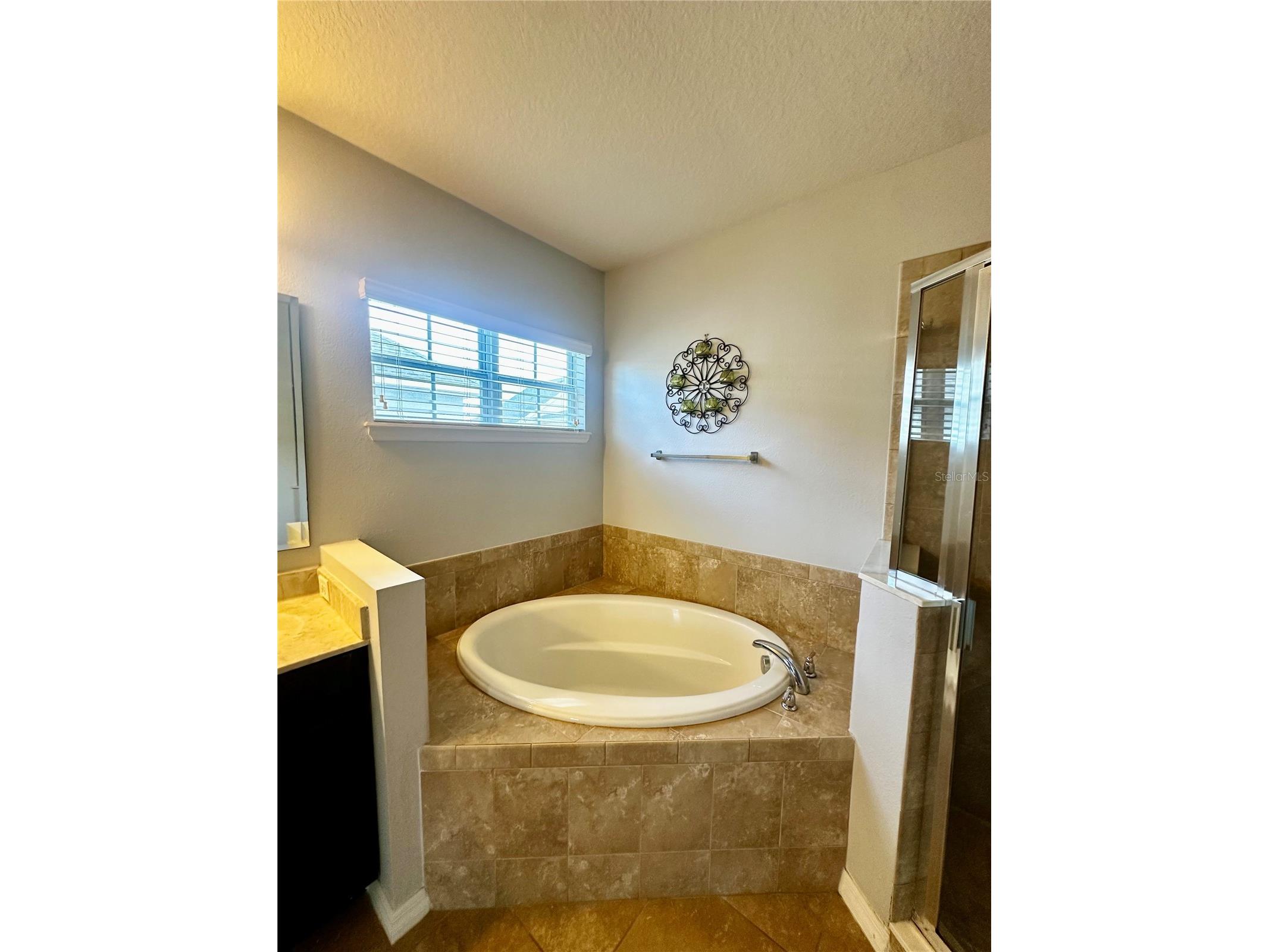 373 Old Farm Lane Winter Springs FL 32708 O6405673 image41