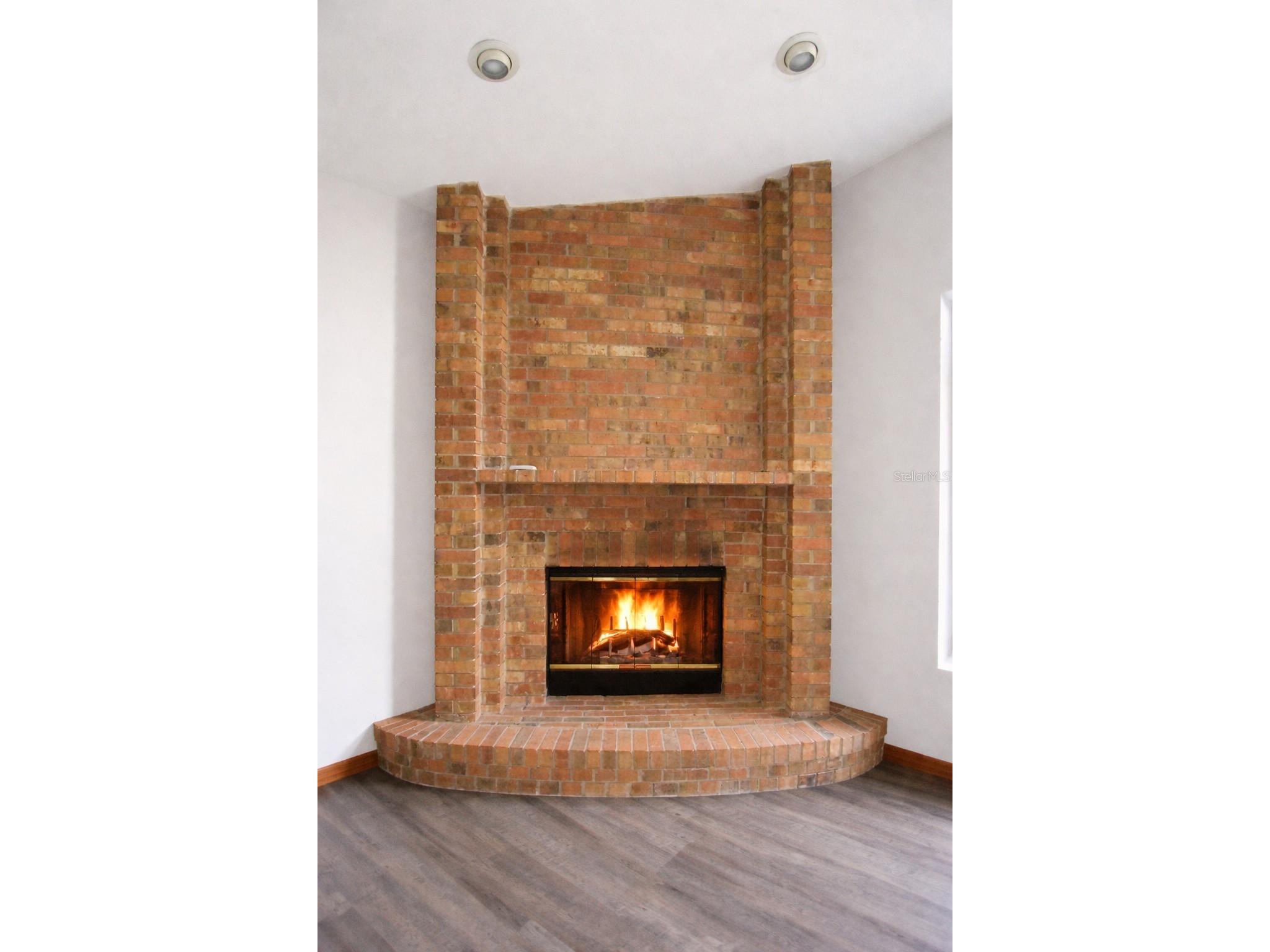 373 Oriana Drive Spring Hill FL 34609 W7884811 image15