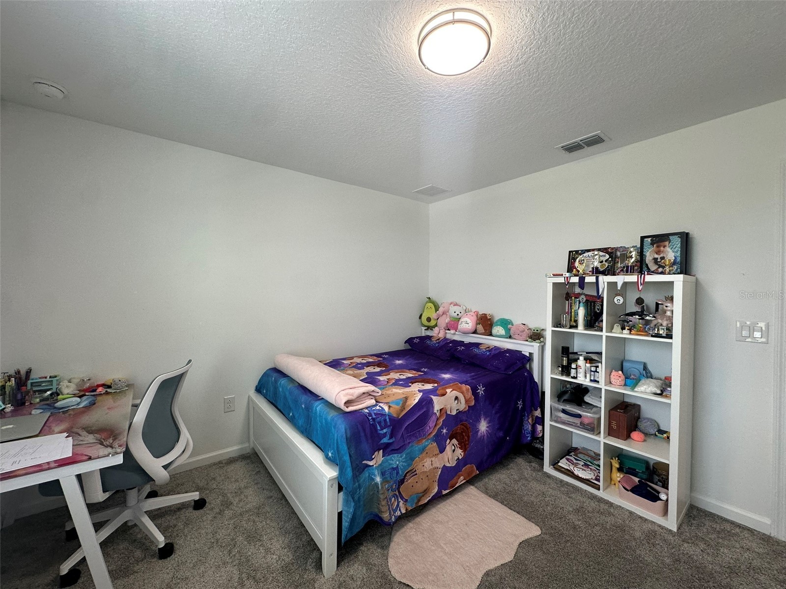 373 Pineywoods Street Saint Cloud FL 34772 O6393700 image19