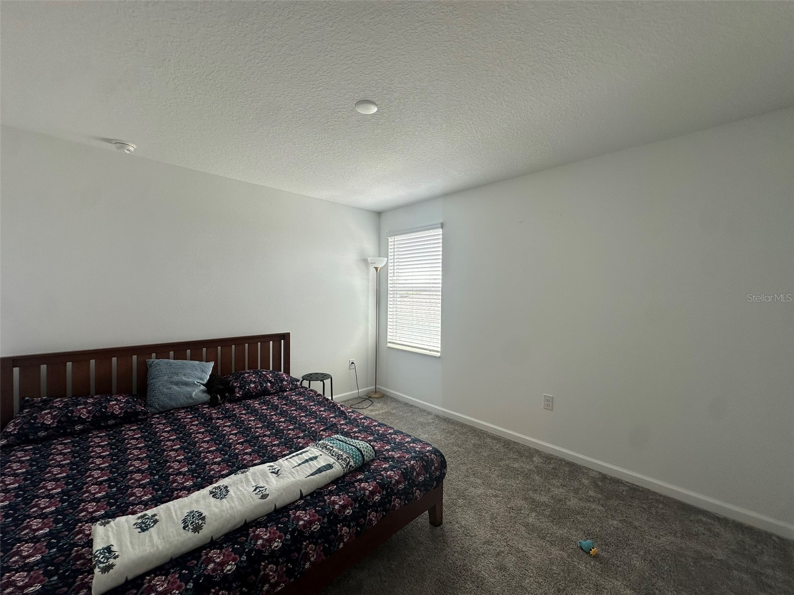 373 Pineywoods Street Saint Cloud FL 34772 O6393700 image22