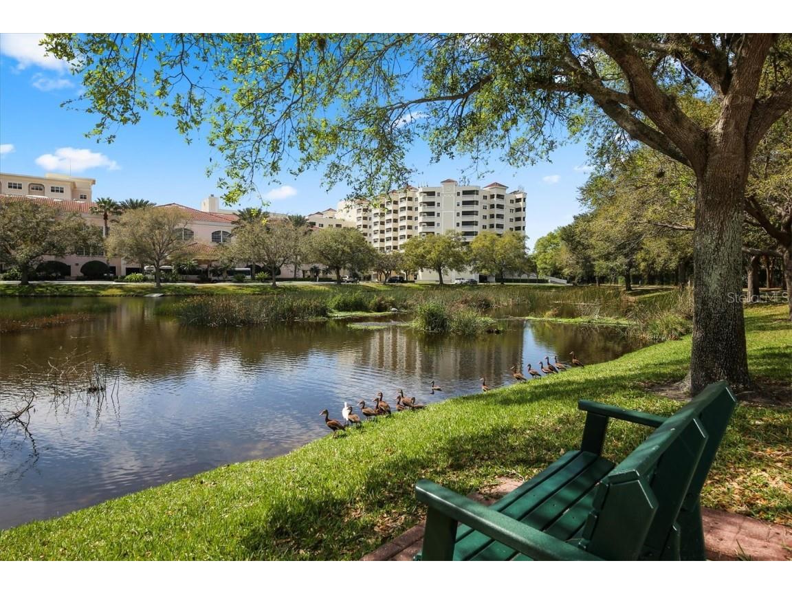 3730 Cadbury Circle #105 Venice FL 34293 N6120503 image1