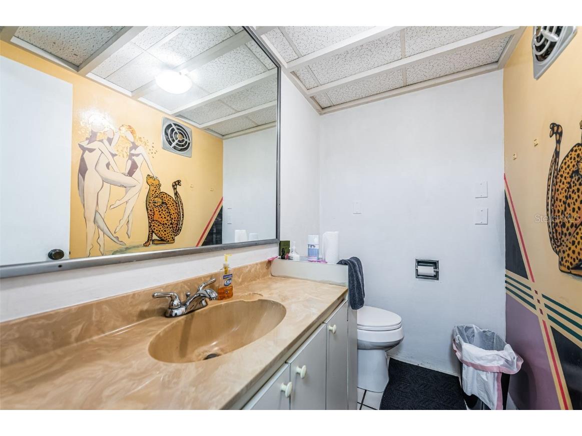 3730 Foster Hill Drive N Saint Petersburg FL 33704 TB8414685 image41