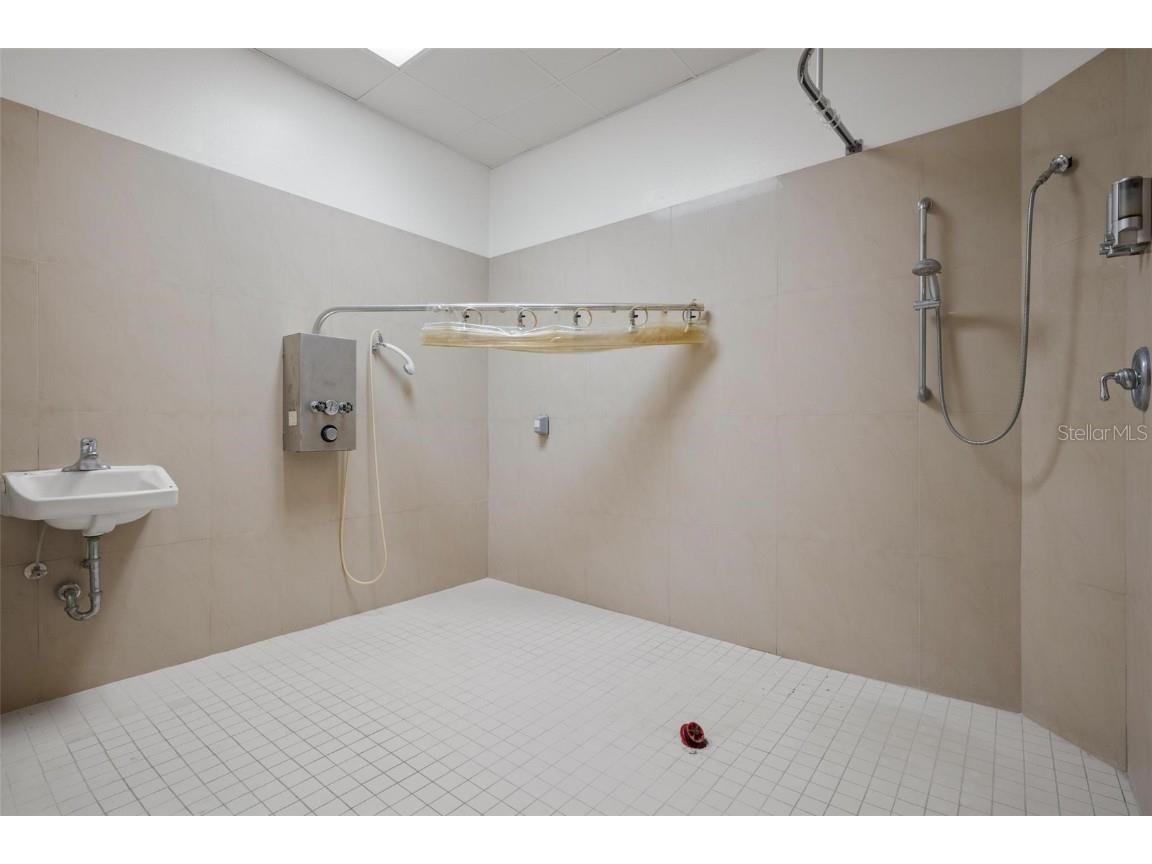 3730 Tampa Road #3730-B Palm Harbor FL 34684 TB8322113 image16