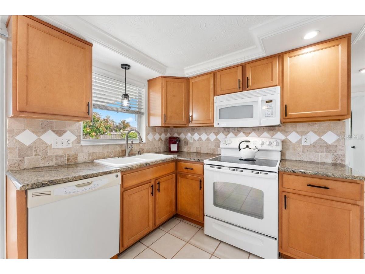 3731 Elmwood Drive Holiday FL 34691 TB8492251 image15