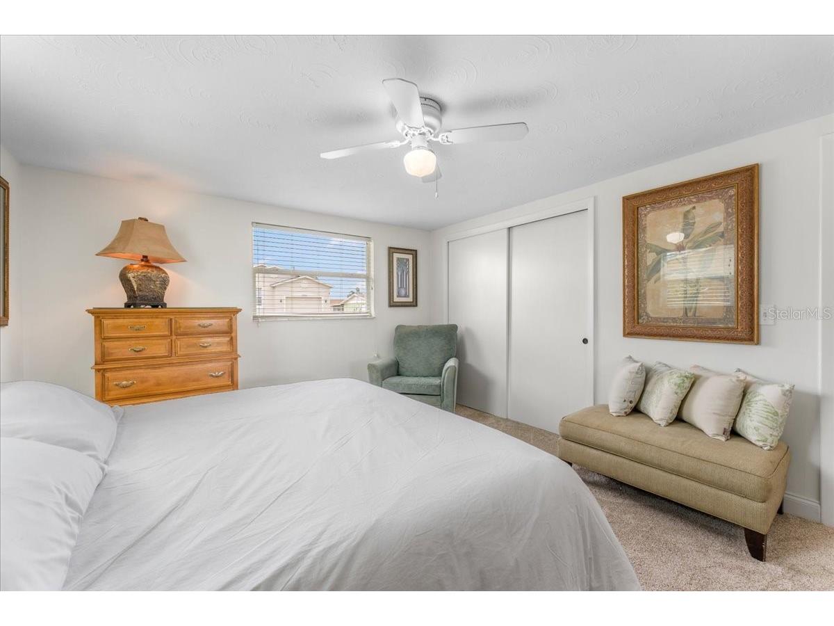 3731 Elmwood Drive Holiday FL 34691 TB8492251 image18