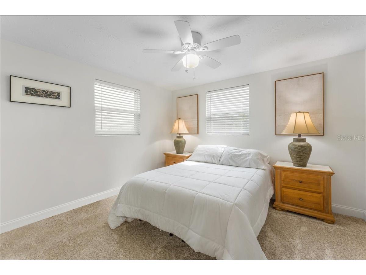 3731 Elmwood Drive Holiday FL 34691 TB8492251 image21