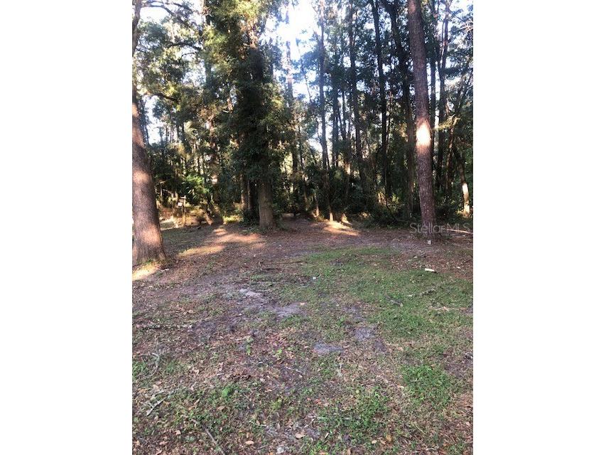 3731 NE 210 Court Williston FL 32696 OM688091 image1