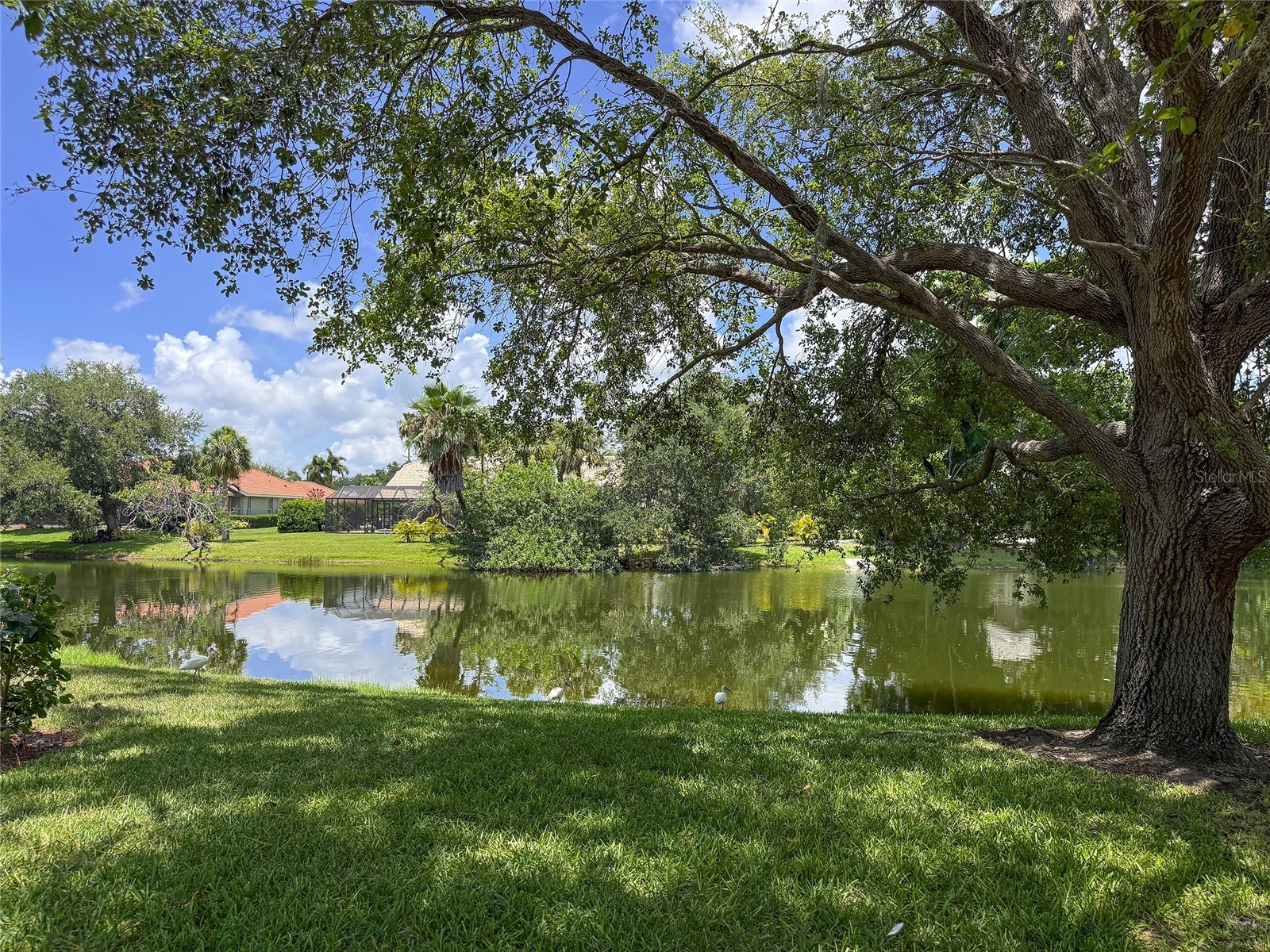 3731 Sarasota Square Boulevard #309E Sarasota FL 34238 - SMALL PRIVATE POND A4697685 image47