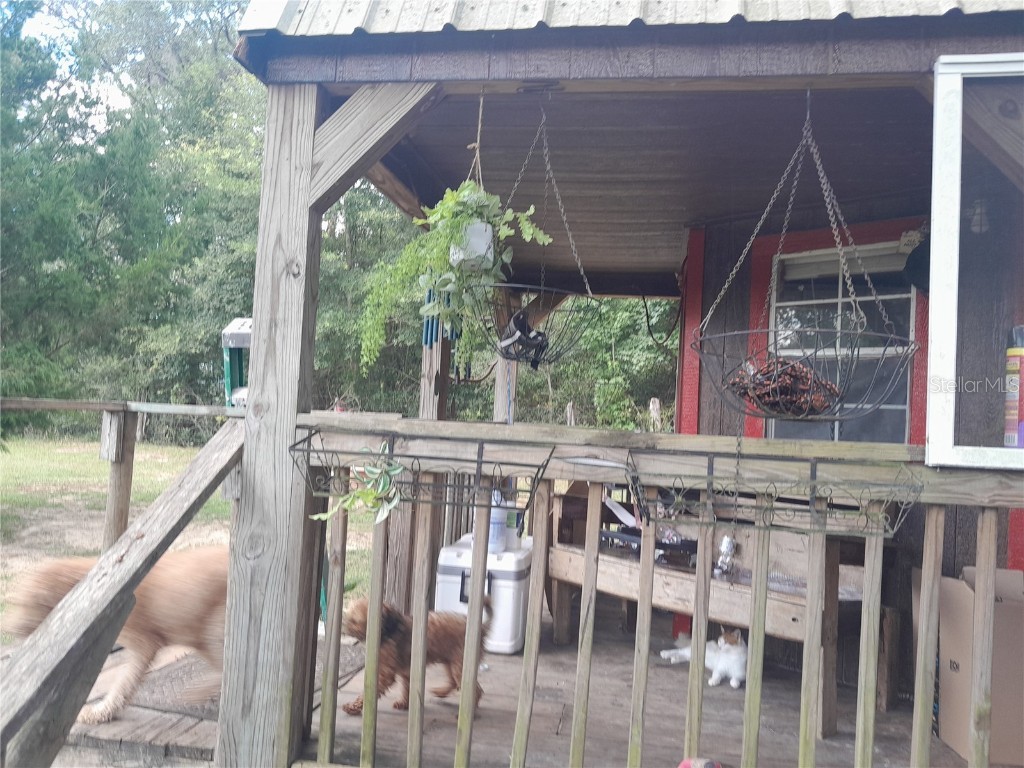 3731 SE 117th Terrace Morriston FL 32668 OM709464 image22