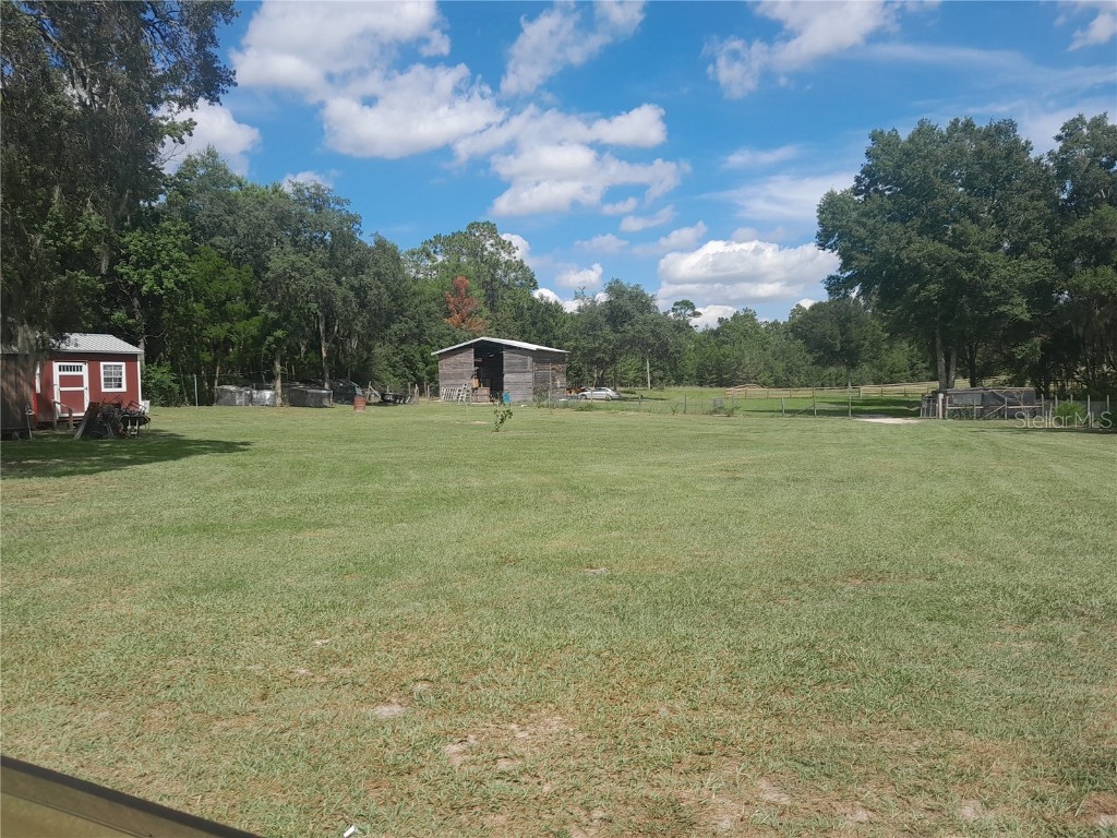 3731 SE 117th Terrace Morriston FL 32668 OM709464 image31